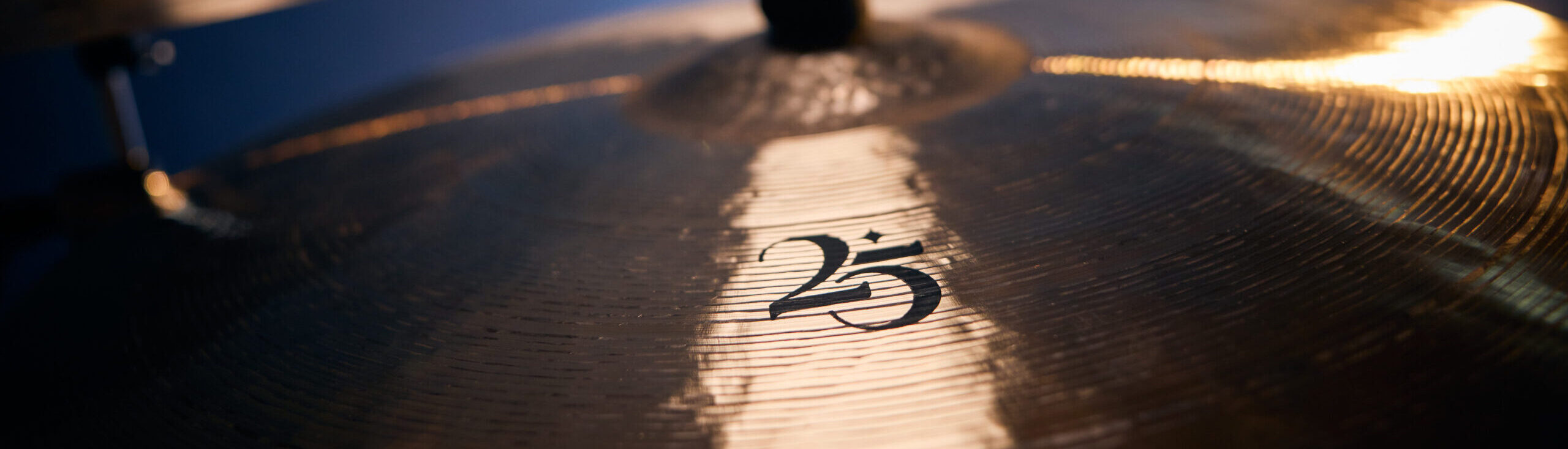 25 Series